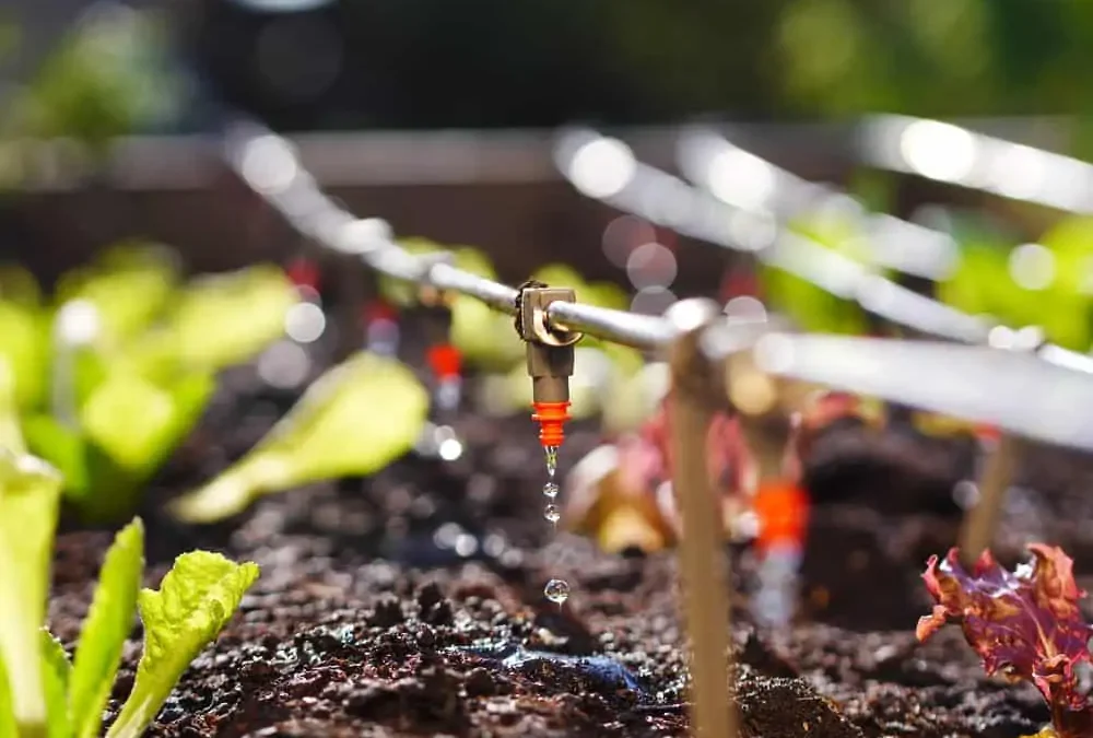 The Kind of Drip You Want for Your Property!