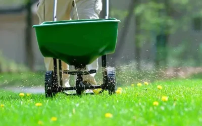 Lawn Care Blunders to Avoid This Year!