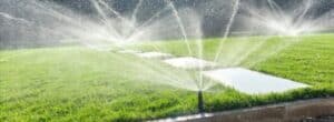 Irrigation in Greenville, Muhlenberg County, and Lewisburg, KY