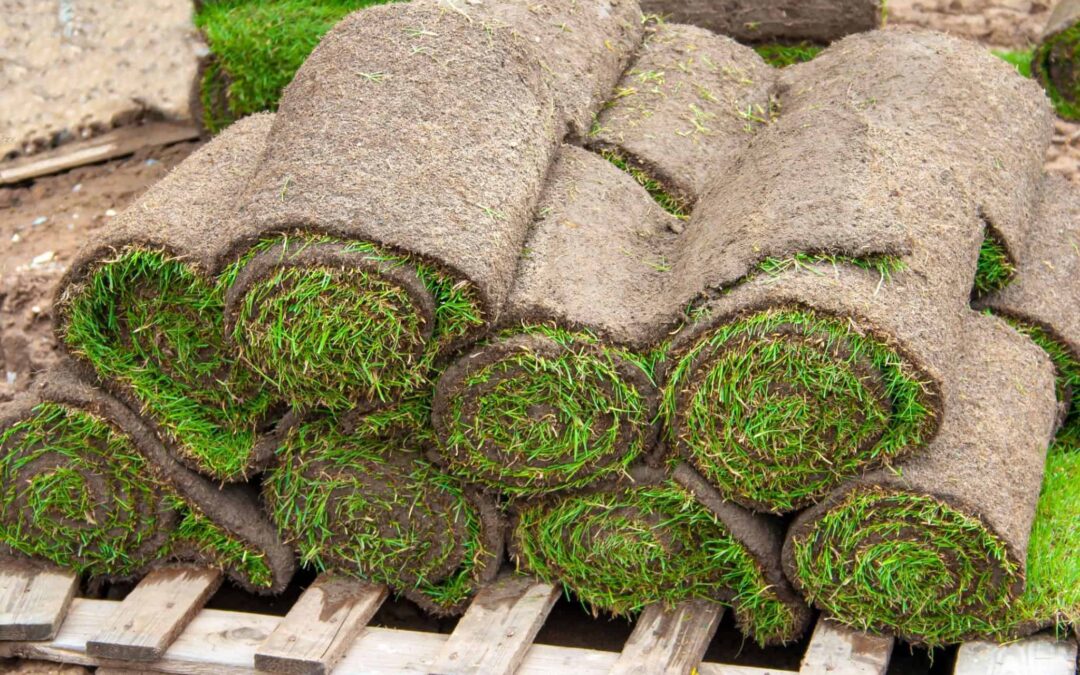 Preparing Your Property for the Upcoming Fall Season
