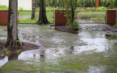 Drainage Problems Are the Eternal Enemy of Kentucky Soil