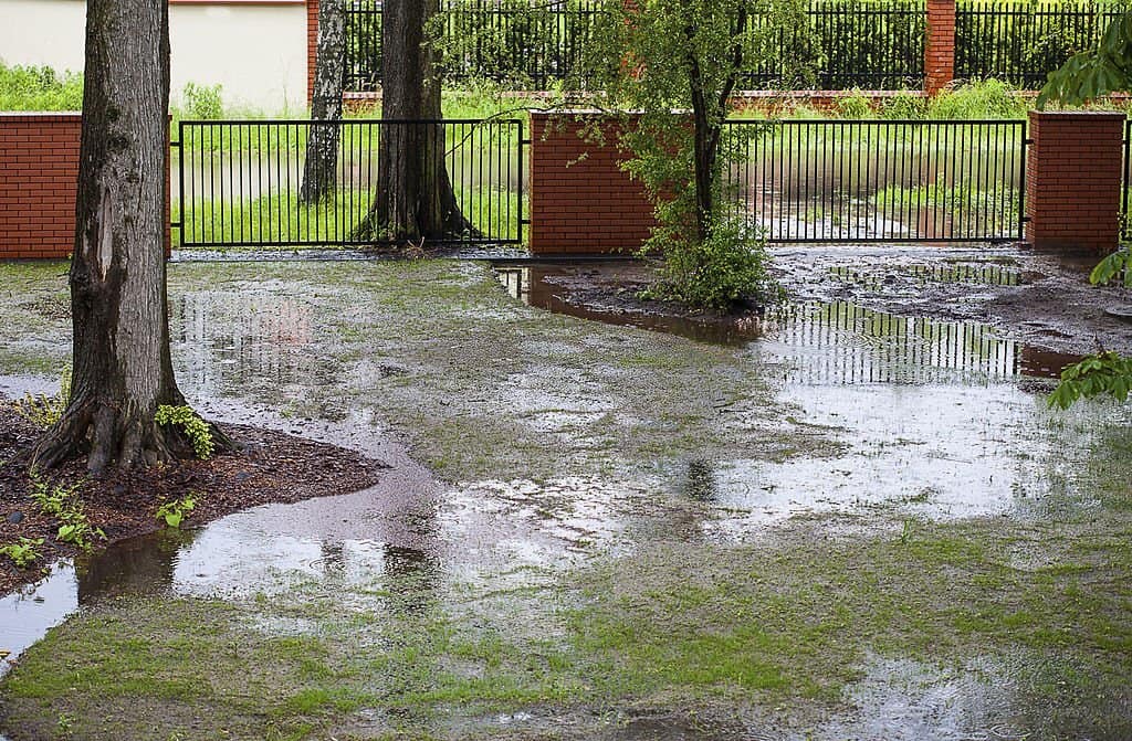 Drainage Problems Are the Eternal Enemy of Kentucky Soil