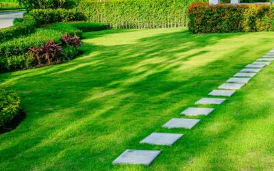 Marching Toward Lawn Care