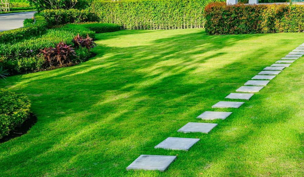 Marching Toward Lawn Care