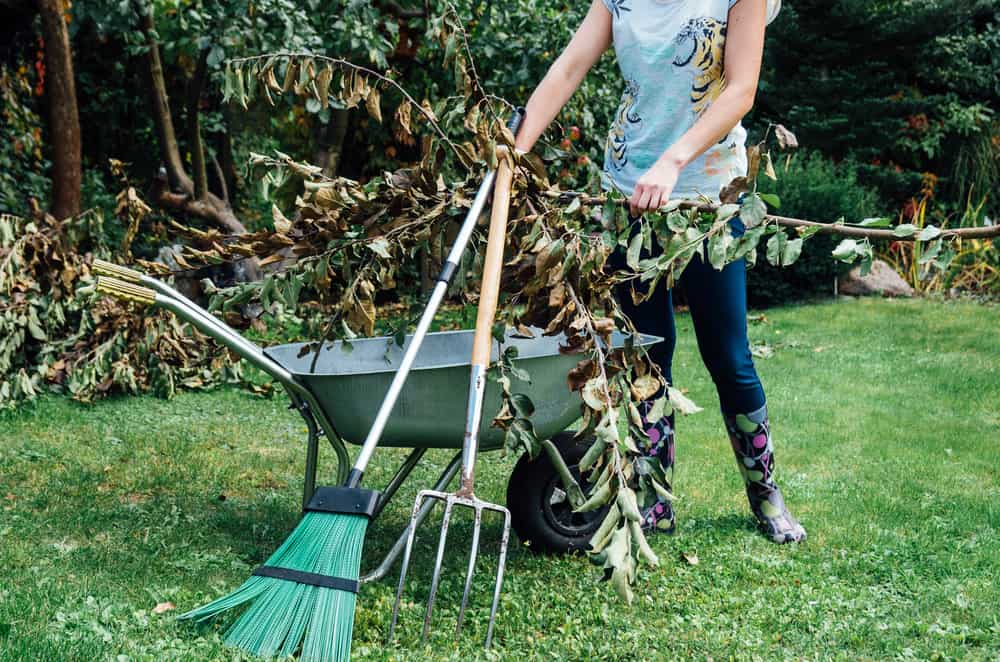 person filling wheelbarrow full of branches