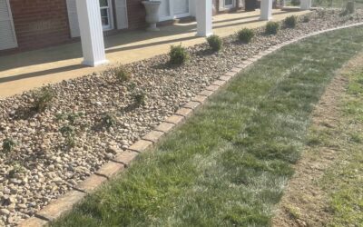 Mow Less and Worry Later: The Ultimate Guide to Lawn Maintenance During the Summer