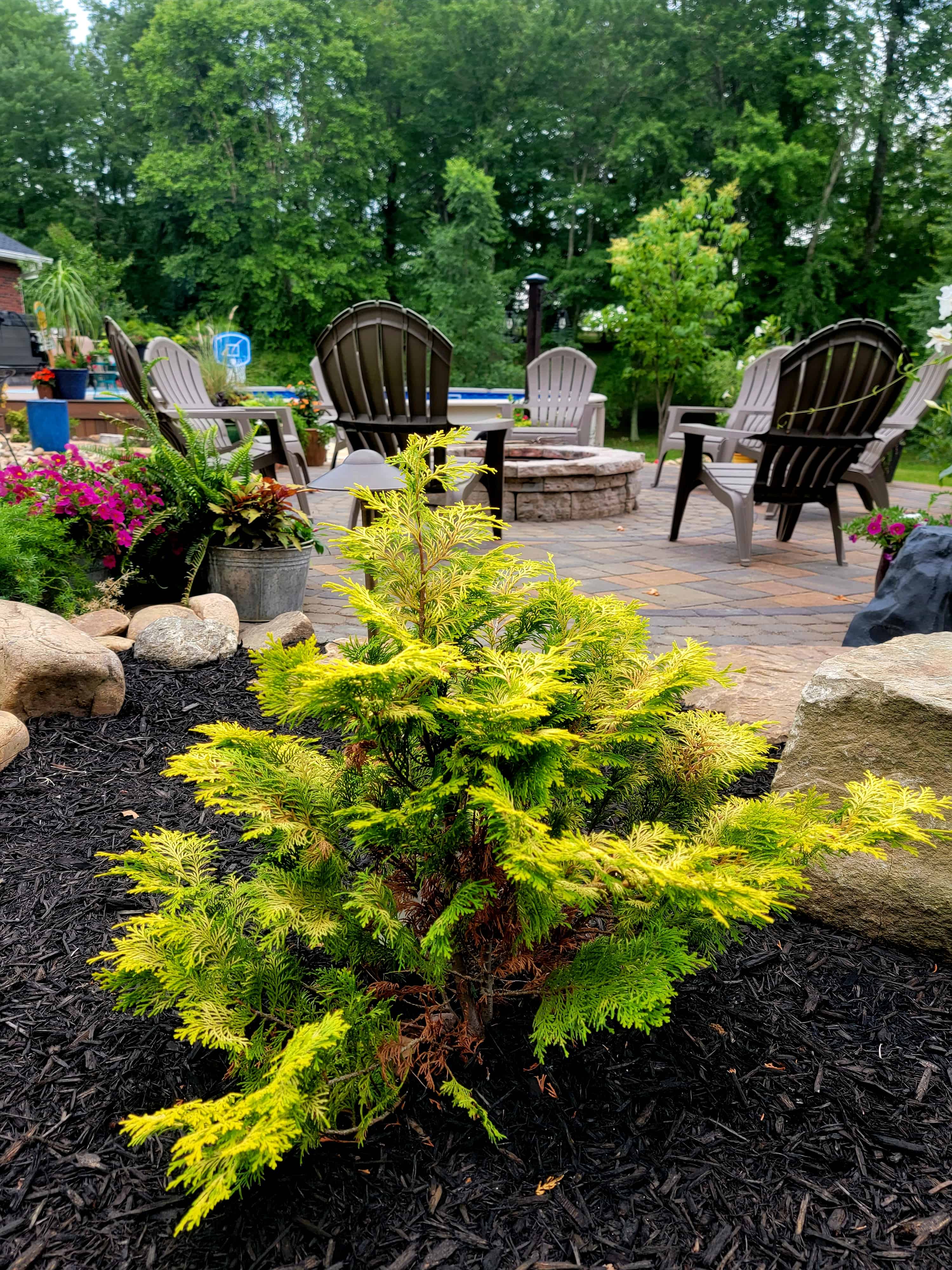 20220607 175023 - Perfection Lawn & Landscape LLC