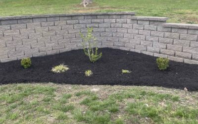 Landscaping Living Sculptures: Transforming Your Lawn into an Artistic Forms