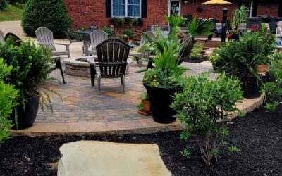 Seasonal Mulching: When and How to Refresh Your Garden