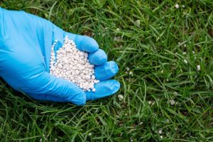 Fall is the perfect time to rejuvenate your lawn with overseeding and aeration. Learn why and contact Perfection Lawn for expert assistance.
