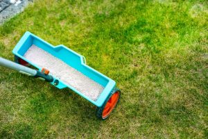Discover the importance of overseeding your lawn this fall with Perfection Lawn.