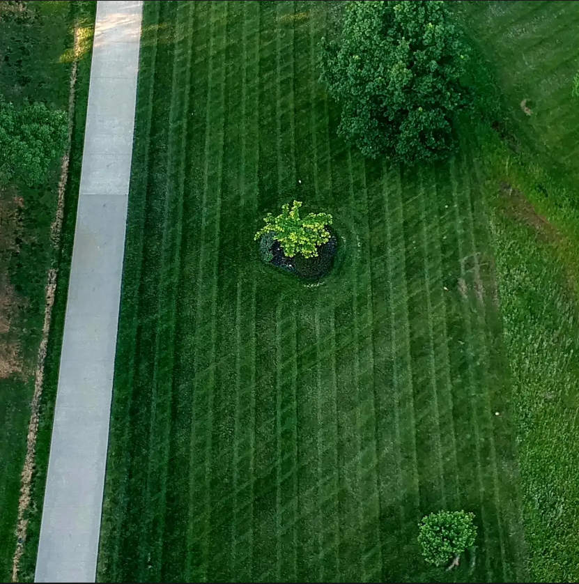 Qoutation Greenville, Owensboro, and Madisonville lawn mowing professionals
