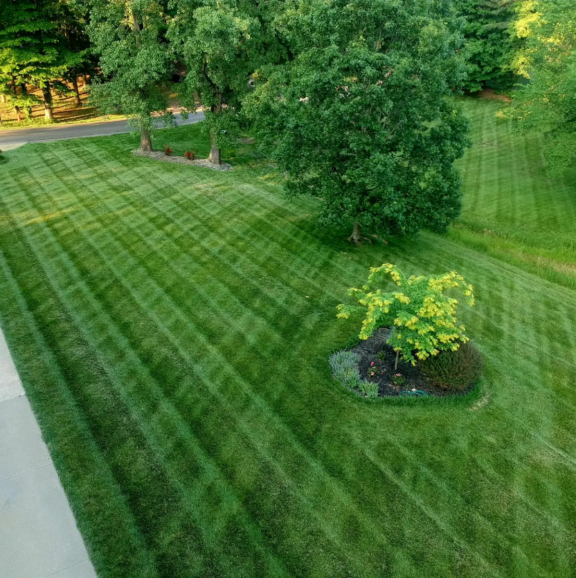 An aerial view of a lush lawn after a perfect cut leaving behind beautiful mowing stripes.