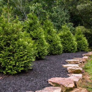 Landscaping services near me in Greenville, Owensboro, and Madisonville