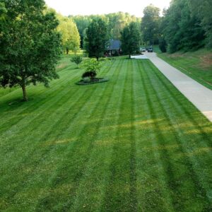 Professional lawn mowing services in Greenville, Owensboro, Madisonville, and surrounding areas