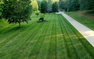 Be The Talk Of The Neighborhood With Lawn Maintenance