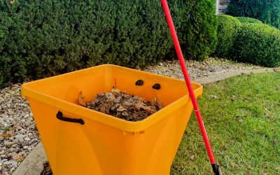 Transform Your Lawn: The Ultimate Guide to Sod Installation for a Lush, Green Yard