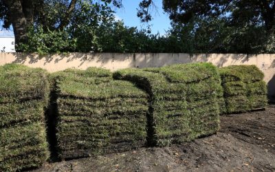 What Should You Top Your Lawn With Before Laying Fresh Sod?