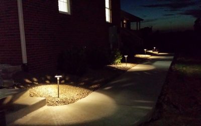 Landscape Lighting Color Guide | Find the Perfect Hue for Your Yard