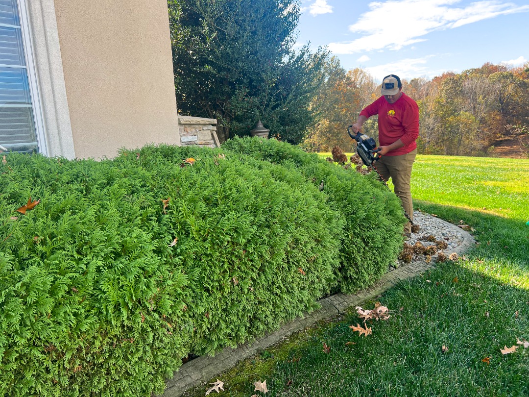 Perfection-About Us - 6 A landscaper trims green bushes near a house using a hedge trimmer, surrounded by lush grass and trees with autumn foliage.
