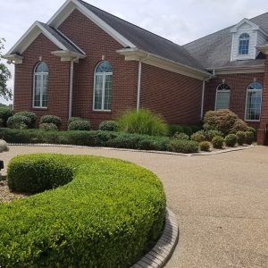a house with a driveway and bushes