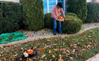 Vital Fall Cleanups That’ll Save Your Lawn From Bigger Issues