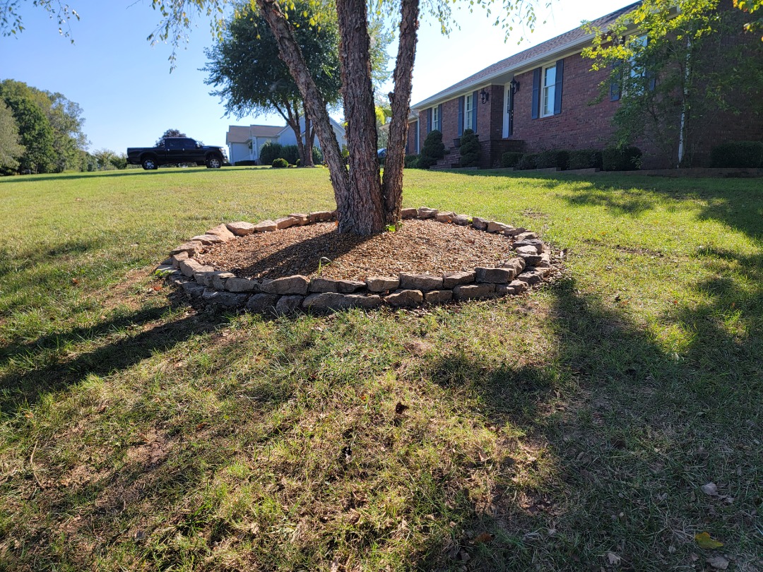 perfection lawn landscape owensboro fall cleanups - Perfection Lawn & Landscape LLC Tree surrounded by clean mulch and a circular stone border in a neatly maintained front yard with trimmed shrubs in the background.